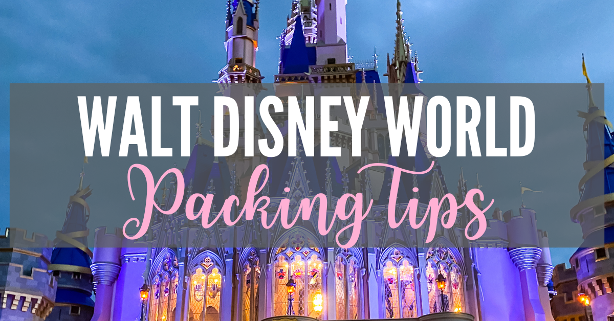 Packing Ziplock bags for your Disney tripa MUST!  Disney trips, Disney  world trip, Disney trip planning